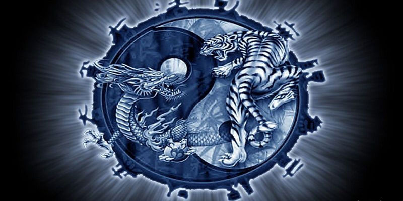Mẹo chơi Rồng Hổ từ chuyên gia