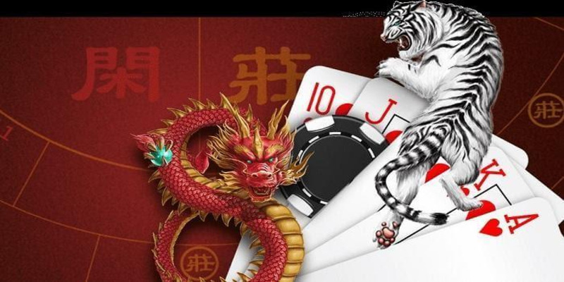 Mẹo chơi Rồng Hổ